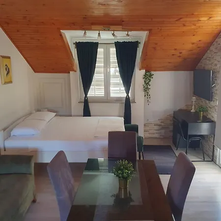 Rose- Center&parking Apartament