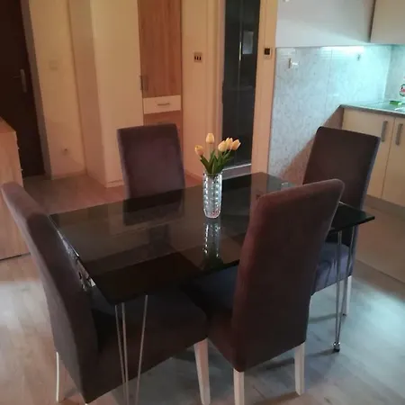 Διαμέρισμα Rose- Center&parking Σίμπενικ